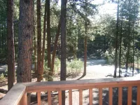 Modern Black Hills home nestled in the pines near beautiful Pactola Lake