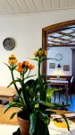 Organic Bnb Froschkoenig "Chaiserstock"
