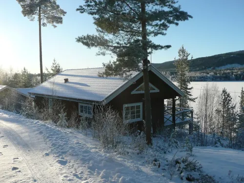 Ski, Sauna, and Scandinavian Serenity Chalet - Homestays