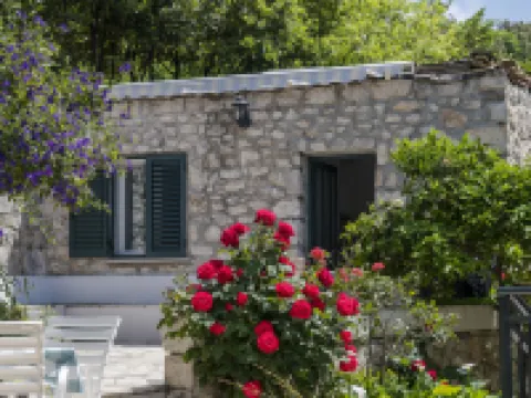 Villa Doris Hotels in Zaton