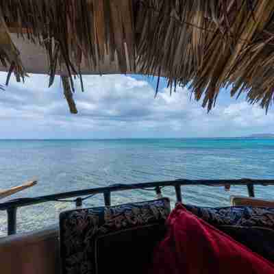 Ocean Sunset Oasis on Negril West End Rooms
