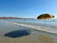 The Old Chaff Mill Organic Vineyard Retreat Hotels in Aldinga Beach