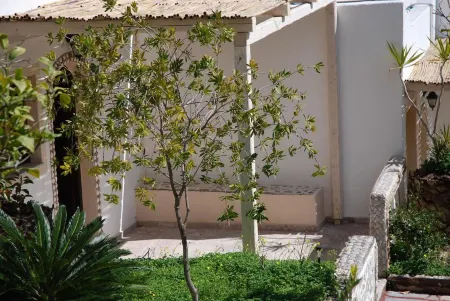 Quiet Place with Efflorescent Garden