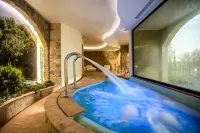 阿巴齊亞克爾梅迪奧度假酒店及水療中心 - SPA