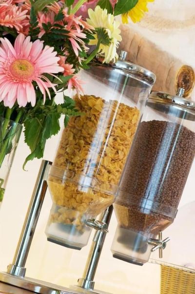 その他 ローマの写真