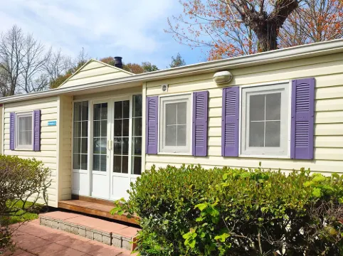 كامنبينغ فوسينا