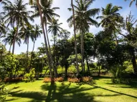 Eco Pousada Paraíso Dos Coqueirais Hotels in Japaratinga