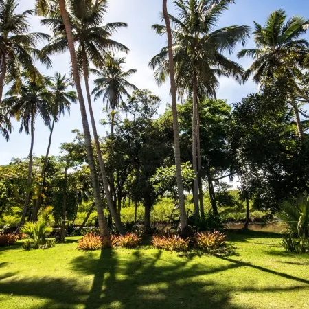 Eco Pousada Paraíso Dos Coqueirais