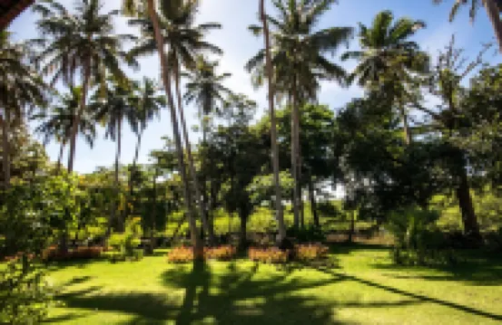 Eco Pousada Paraíso Dos Coqueirais Отели в г. 