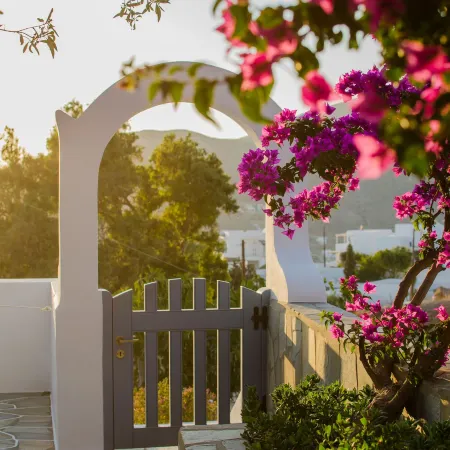 Athena Rooms Ξενοδοχεία στην πόλη Ίος