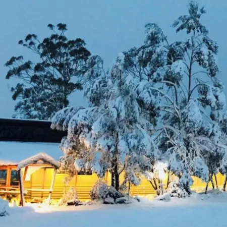 Discovery Resorts - Cradle Mountain Отели в г. Крейдл-Маунтин