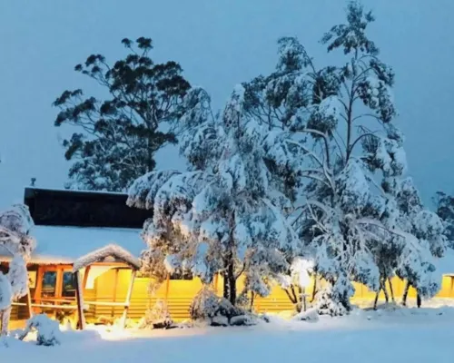 Discovery Resorts - Cradle Mountain Hotel di Cradle Mountain