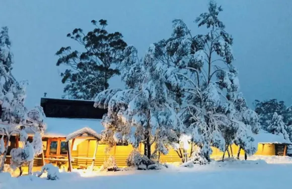 探索度假村-搖籃山