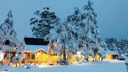 Discovery Resorts - Cradle Mountain