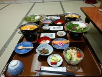 Ryokan Sansui Hotels in Takayama