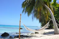 Le Coconut Lodge - Ocean View