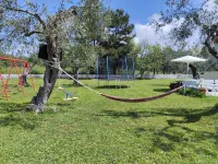 Olive Garden Studios & Apartments - Homestays
