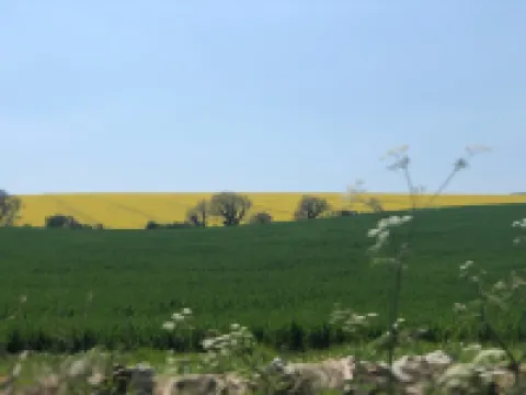 Clare Cottage Hotels in Sherborne