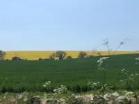 Clare Cottage Hotels in Sherborne