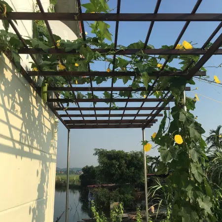 Lotus House Отели рядом с достопримечательностью «Do Son Beach»