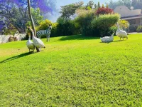 Highlands Lodges & Apartments Hotels in 