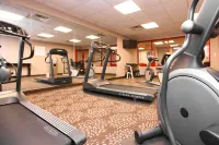 Holiday Inn Express & Suites OLATHE NORTH by IHG - Gym