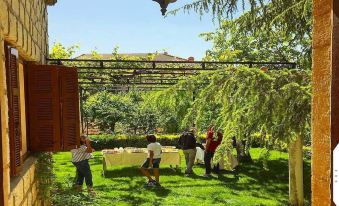 Boustany Guest House - Hostel