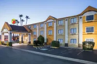 Super 8 by Wyndham Harlingen TX فنادق في هارلينغن