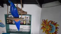 Garden by the Sea - bar