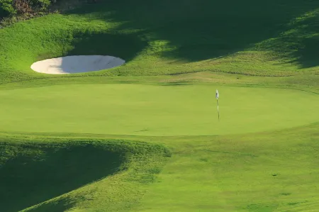 Pinnacle Point Beach and Golf Resort Отели рядом с достопримечательностью «Post Office Tree»