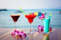 Secret Garden Beach Resort - Quầy bar