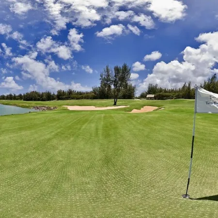 Luxury Ocean Villa 217 at Turtle Bay! Ocean Front!