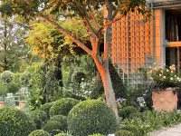 高級時裝花園 - SPA