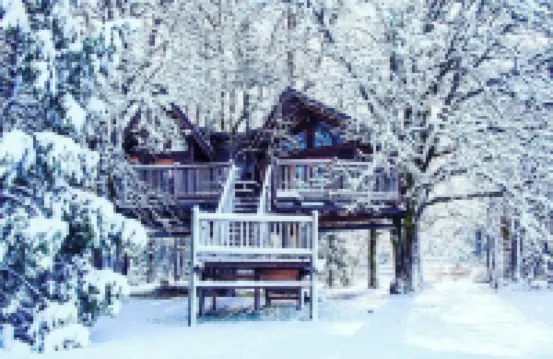 Out 'N' About Treehouse Treesort