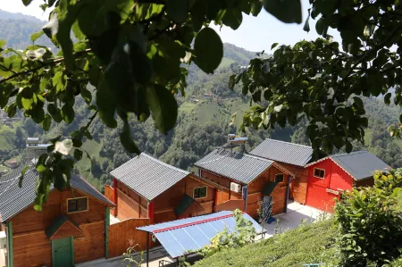 The Reo's Suit Отели в г. Behice Koyu