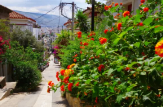 Absolute Athens Acropolis View
