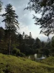 Proyecto Nirodha Orosi فنادق في Agua Caliente