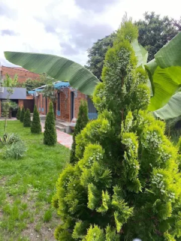 Hotel Varla Hotels in Kutaisi