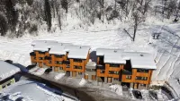 Chalet Ablon Hotels in Saalbach