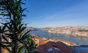 Oporto View House