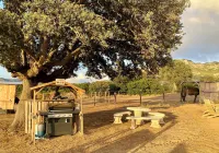 Les Chalets de Tesa Hotels in Occhiatana