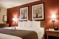 Quality Inn & Suites فنادق في ساسكاتون