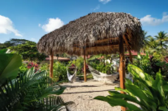 Hotel Costa Pacifica