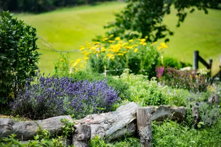 Tourist Farm Pr'Dovar Отели в г. Амброж-под-Крвавцем