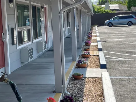 Lark Motel Willits Отели в г. Уиллитс