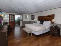 Switzerland Inn Hotels in Mitchell County