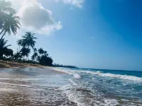 Breathtaking Seashore Paradise At Rio Grande