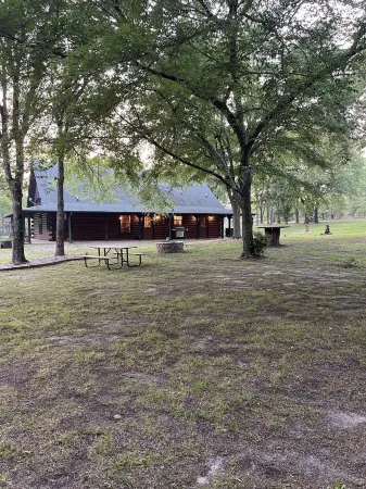 Getaway from the hustle and bustle and stay in a peaceful cabin in the woods!