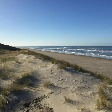 Traditional Villa with Dishwasher on Texel Near the Sea