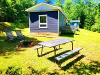 Miracles on Polly - Enchanted River Retreat